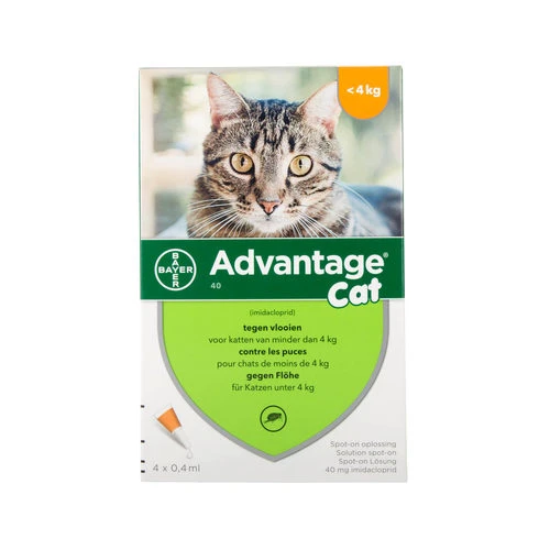 Advantage Katze 3 Advantage Katze – Bild 3