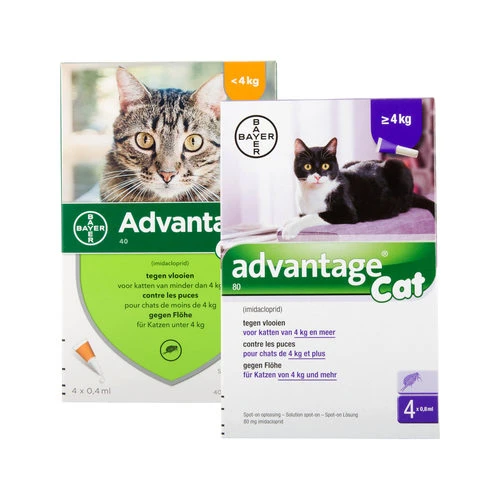 Advantage Katze 2 Advantage Katze – Bild 2