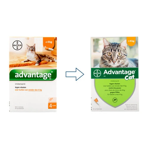 Advantage Katze 1 Advantage Katze