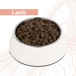 Antelope Fresh Adult Hundefutter -Haustier Lieferungen Geschäft antelope fresh adult hondenvoer 219964 0500 none