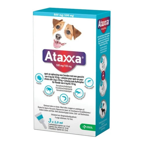 Ataxxa 4 Ataxxa – Bild 4