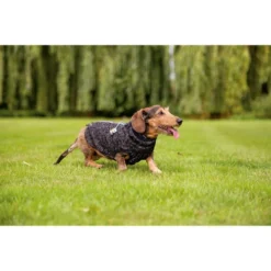 Beeztees Hundepullover Celia -Haustier Lieferungen Geschäft beeztees hondentrui celia 219140 0500 none