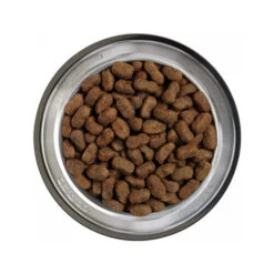 Belcando Adult Getreidefreies Hundefutter 17 Belcando Adult Getreidefreies Hundefutter -Haustier Lieferungen Geschäft belcando adult graanvrij 217774 0500 none