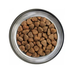 Belcando Adult Getreidefreies Hundefutter 16 Belcando Adult Getreidefreies Hundefutter -Haustier Lieferungen Geschäft belcando adult graanvrij 217776 0500 none