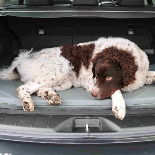 Bia Original Matratze Grau 2 Bia Original Matratze Grau – Bild 2