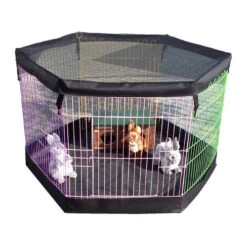 Boon Nagetier- & Kaninchen-Freilaufgehege -Haustier Lieferungen Geschäft boon knaagdieren konijnenren 130808 0500 none