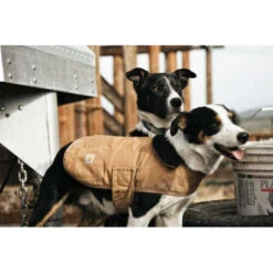 Carhartt Dog Chore Coat -Haustier Lieferungen Geschäft carhartt dog chore coat 186748 0500 none