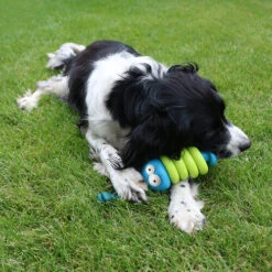 Coockoo Larry -Haustier Lieferungen Geschäft coockoo larry 216712 0500 none