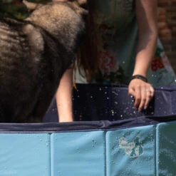 CoolPets Hundepool 8 CoolPets Hundepool -Haustier Lieferungen Geschäft coolpets zwembad 198134 0500 none