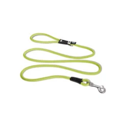 Curli Stretch Comfort Leine -Haustier Lieferungen Geschäft curli stretch comfort leash 219163 0500 none