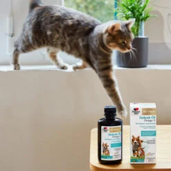 Doppelherz Gelenk Öl Omega-3 Für Katzen Und Hunde 16 Doppelherz Gelenk Öl Omega-3 Für Katzen Und Hunde -Haustier Lieferungen Geschäft doppelherz gelenk oel fuer katzen hunde 195062 0500 none