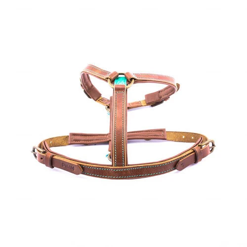 DWAM Hundegeschirr Boho Juan 2 DWAM Hundegeschirr Boho Juan – Bild 2