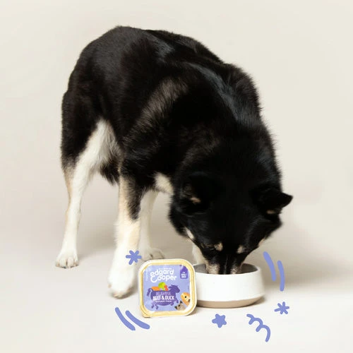 Edgard & Cooper Adult - Rind & Ente - Schälchen 2 Edgard & Cooper Adult - Rind & Ente - Schälchen – Bild 2