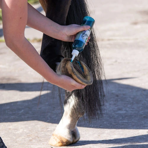 Equi Protecta Blue Wonder Gel 2 Equi Protecta Blue Wonder Gel – Bild 2