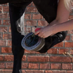 Equi Protecta Blue Wonder Gel 5 Equi Protecta Blue Wonder Gel -Haustier Lieferungen Geschäft equi protecta blue wonder gel 161240 0500 none