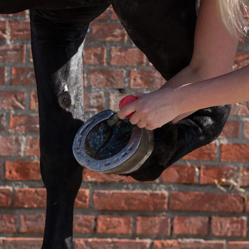 Equi Protecta Blue Wonder Gel 3 Equi Protecta Blue Wonder Gel – Bild 3