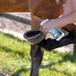 Equi Protecta Huf-Spray -Haustier Lieferungen Geschäft equi protecta hoevenspray 161273 0500 none