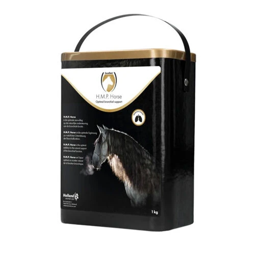 Excellent HMP Horse 1 Excellent HMP Horse