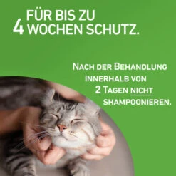 Frontline Combo Spot On Katze -Haustier Lieferungen Geschäft frontline combo spot on kat 208217 0500 none