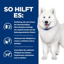 Hill's K/d + Mobility - Prescription Diet - Canine -Haustier Lieferungen Geschäft hills kd mobility prescription diet canine 212189 0500 none