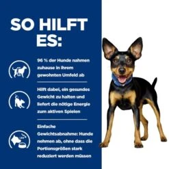 Hill's Metabolic Mini - Prescription Diet - Canine -Haustier Lieferungen Geschäft hills metabolic mini prescription diet canine 218076 0500 none