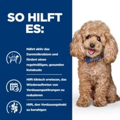 Hill's Prescription Diet Gastrointestinal Biome - Canine - Mini -Haustier Lieferungen Geschäft hills prescription diet gastrointestinal biome canine mini 211877 0500 none