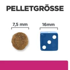 Hill's Prescription Diet Gastrointestinal Biome - Canine - Mini -Haustier Lieferungen Geschäft hills prescription diet gastrointestinal biome canine mini 211880 0500 none