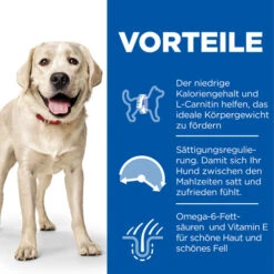Hill's Science Plan Light - Large Adult Dog -Haustier Lieferungen Geschäft hills science plan adult light large 218758 0500 none