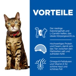 Hill's Science Plan - Feline Adult - Chicken Light -Haustier Lieferungen Geschäft hills science plan feline adult chicken light 218385 0500 none