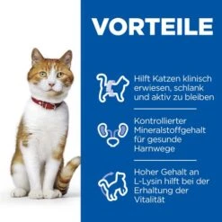 Hill's Science Plan Sterilised - Adult Cat 16 Hill's Science Plan Sterilised - Adult Cat -Haustier Lieferungen Geschäft hills science plan feline adult sterilised chicken 218810 0500 none