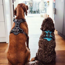 Hunter Geschirr Divo Dunkelblau/Grau 13 Hunter Geschirr Divo Dunkelblau/Grau -Haustier Lieferungen Geschäft hunter harnas divo donkerblauwgrijs 166906 0500 none