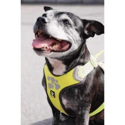 Hurtta Weekend Warrior Geschirr -Haustier Lieferungen Geschäft hurtta weekend warrior harness 189093 0500 none