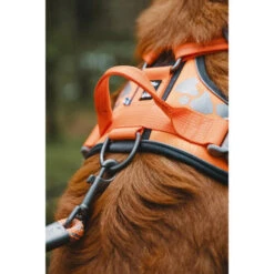 Hurtta Weekend Warrior Geschirr -Haustier Lieferungen Geschäft hurtta weekend warrior harness 189096 0500 none