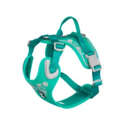 Hurtta Weekend Warrior Geschirr -Haustier Lieferungen Geschäft hurtta weekend warrior harness 203807 0500 none