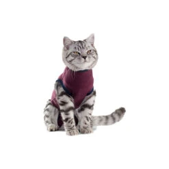 Jacketz Medical Body Suit Für Katzen 8 Jacketz Medical Body Suit Für Katzen -Haustier Lieferungen Geschäft jacketz medical body suit kat 154129 0500 none