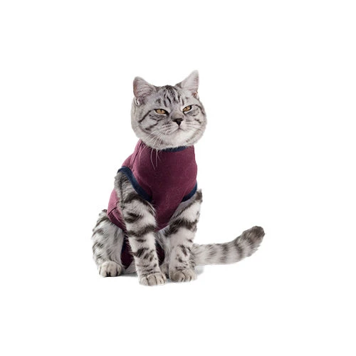 Jacketz Medical Body Suit Für Katzen 3 Jacketz Medical Body Suit Für Katzen – Bild 3