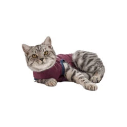 Jacketz Medical Body Suit Für Katzen 9 Jacketz Medical Body Suit Für Katzen -Haustier Lieferungen Geschäft jacketz medical body suit kat 154147 0500 none