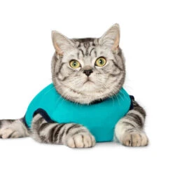 Jacketz Medical Body Suit Für Katzen 11 Jacketz Medical Body Suit Für Katzen -Haustier Lieferungen Geschäft jacketz medical body suit kat 209783 0500 none