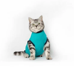 Jacketz Medical Body Suit Für Katzen 10 Jacketz Medical Body Suit Für Katzen -Haustier Lieferungen Geschäft jacketz medical body suit kat 209789 0500 none