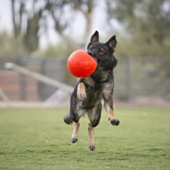 Jolly Soccer Ball -Haustier Lieferungen Geschäft jolly soccer ball 162241 0500 none