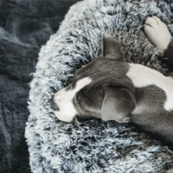 Kentucky Dogwear - Comfort Donut-Hundekorb -Haustier Lieferungen Geschäft kentucky dogwear comfort donut hondenmand 219723 0500 none