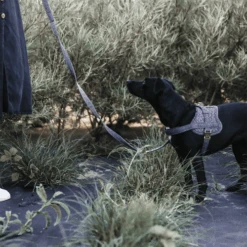 Kentucky Dogwear Hundegeschirr Body Safe Wool -Haustier Lieferungen Geschäft kentucky dogwear hondenharnas body safe wool 219214 0500 none