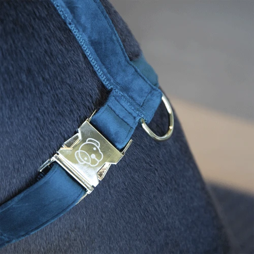 Kentucky Dogwear Hundegeschirr Velvet Loop 8 Kentucky Dogwear Hundegeschirr Velvet Loop – Bild 8