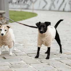 Kentucky Dogwear Hundejacke Teddy Fleece -Haustier Lieferungen Geschäft kentucky dogwear hondenjas teddy fleece 219186 0500 none