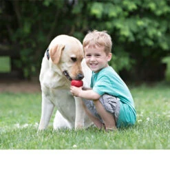 KONG Classic -Haustier Lieferungen Geschäft kong classic 98642 0500 none