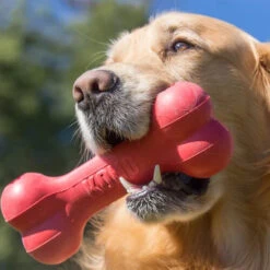 KONG Goodie Bone -Haustier Lieferungen Geschäft kong goodie bone 194186 0500 none