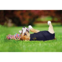 Medical Pet Shirt Hund 15 Medical Pet Shirt Hund -Haustier Lieferungen Geschäft medical pet shirt hond 149981 0500 none