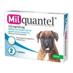 Milquantel Hund -Haustier Lieferungen Geschäft milquantel hond 112622 0500 none