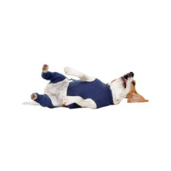 MPS-HLS Hinterbeinschutz -Haustier Lieferungen Geschäft mps hls achterpootmouwtjes 167440 0500 none