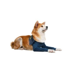 MPS-TAZ2 Vorderpfotenschutz -Haustier Lieferungen Geschäft mps taz2 voorpootmouwtjes 167446 0500 none